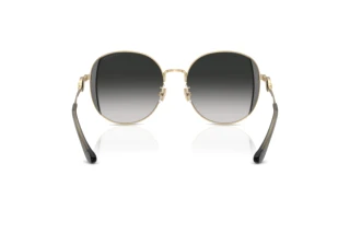 Bagside Coach CAD73 (HC7176B - 90053C)