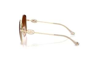 Sidevisning Coach CAD73 (HC7176B - 900574)