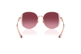 Bagside Coach CAD73 (HC7176B - 93318H)