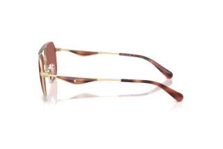 Sidevisning Coach CAE80 (HC7178 - 90050H)