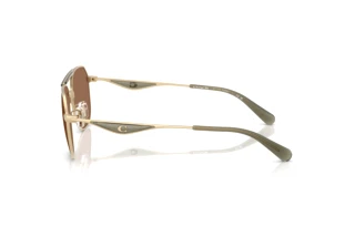 Sidevisning Coach CAE80 (HC7178 - 900573)