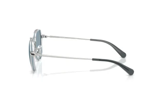 Sidevisning Coach CAE81 (HC7179 - 900187)