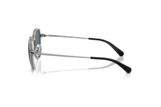 Sidevisning Coach CAE81 (HC7179 - 900455)