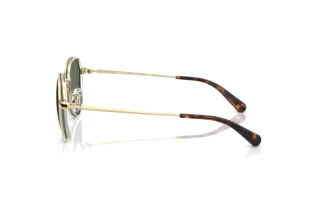 Sidevisning Coach CAE81 (HC7179 - 90053H)