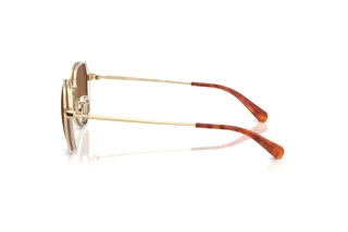 Sidevisning Coach CAE81 (HC7179 - 900573)