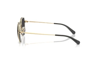 Sidevisning Coach CAE81 (HC7179 - 900587)