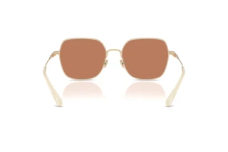 Bagside Coach CAE93 (HC7180D - 94683)