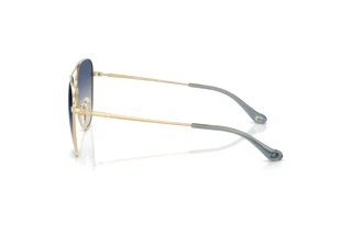 Sidevisning Coach CBZ89 (HC7182 - 90054L)