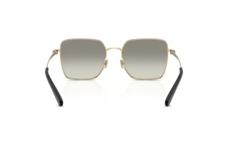 Bagside Coach CBZ51 (HC7184D - 94643C)