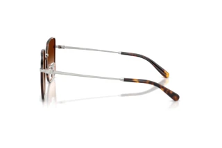 Sidevisning Coach CBZ51 (HC7184D - 94775M)