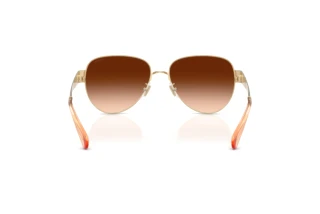 Bagside Coach CDP37 (HC7186 - 900574)