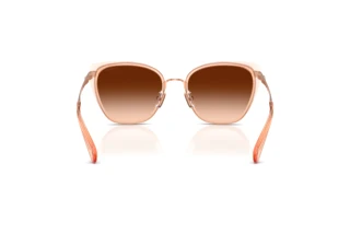 Bagside Coach CDP56 (HC7187 - 948774)