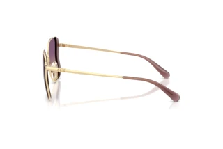 Sidevisning Coach CDP51 (HC7188 - 900570)