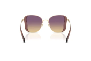 Bagside Coach CDP51 (HC7188 - 900570)