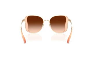 Bagside Coach CDP51 (HC7188 - 900574)