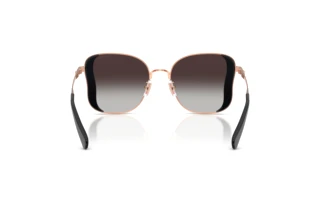 Bagside Coach CDP51 (HC7188 - 94078G)