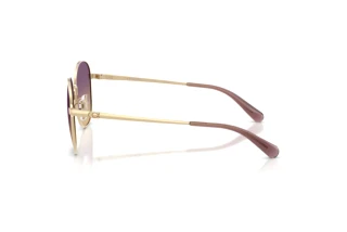 Sidevisning Coach CDP39 (HC7189 - 900570)