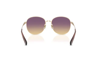 Bagside Coach CDP39 (HC7189 - 900570)