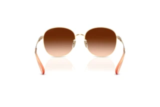 Bagside Coach CDP39 (HC7189 - 900574)