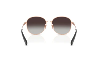 Bagside Coach CDP39 (HC7189 - 94078G)