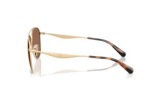 Sidevisning Coach CDP40 (HC7190 - 900513)