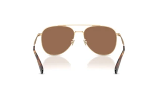 Bagside Coach CDP40 (HC7190 - 900513)