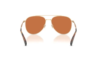 Bagside Coach CDP40 (HC7190 - 900573)