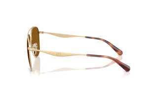 Sidevisning Coach CDP40 (HC7190 - 900583)