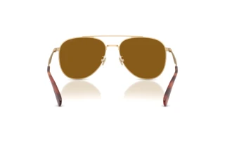 Bagside Coach CDP40 (HC7190 - 900583)