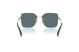 Bagside Coach CDP45 (HC7193D - 94071U)