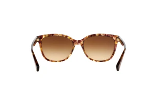 Bagside Coach L109 (HC8132 - 528713)