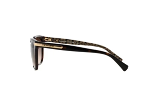 Sidevisning Coach L109 (HC8132 - 529113)