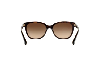 Bagside Coach L109 (HC8132 - 529113)