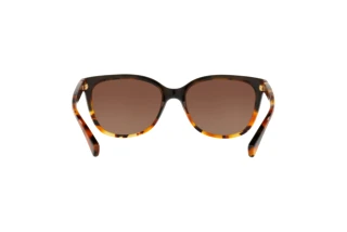 Bagside Coach L109 (HC8132 - 5438T5)