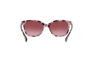 Bagside Coach L109 (HC8132 - 55488H)