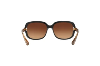 Bagside Coach L149 (HC8169 - 535313)