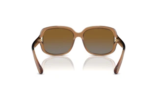 Bagside Coach L149 (HC8169 - 5561T5)