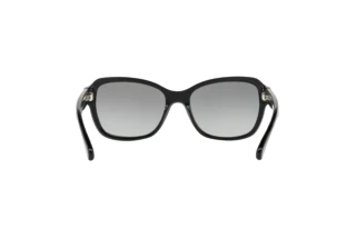 Bagside Coach L1010 (HC8232 - 551011)