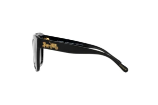 Sidevisning Coach L1083 (HC8264 - 5002T3)