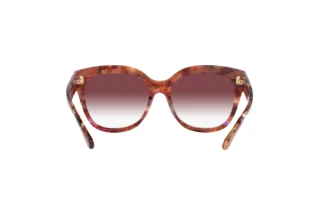 Bagside Coach L1083 (HC8264 - 57398H)