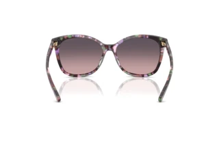 Bagside Coach L1101 (HC8271U - 584346)