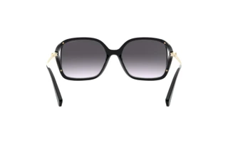 Bagside Coach L1116 (HC8280U - 50028G)