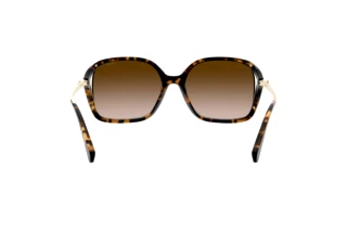 Bagside Coach L1116 (HC8280U - 512013)