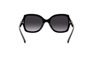 Bagside Coach L1147 (HC8295 - 50028G)