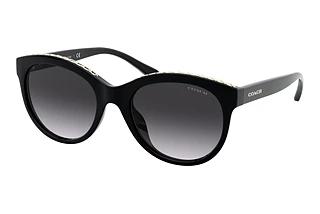 Coach HC8297U 50028G Grey GradientBlack