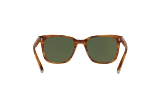 Bagside Coach C2095 (HC8313U - 558171)