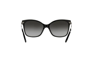 Bagside Coach C3446 (HC8316 - 50028G)