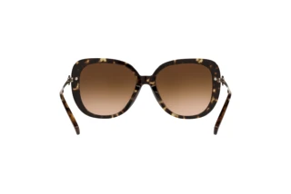 Bagside Coach C6180 (HC8320 - 512074)