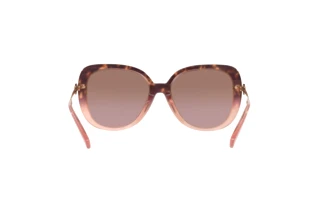 Bagside Coach C6180 (HC8320 - 56505M)