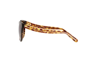 Sidevisning Coach C6181 (HC8321 - 51203B)